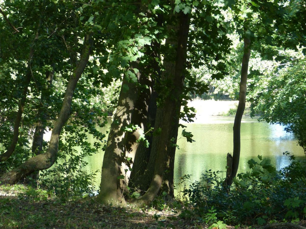 Mit Brockenblick * Langenstein