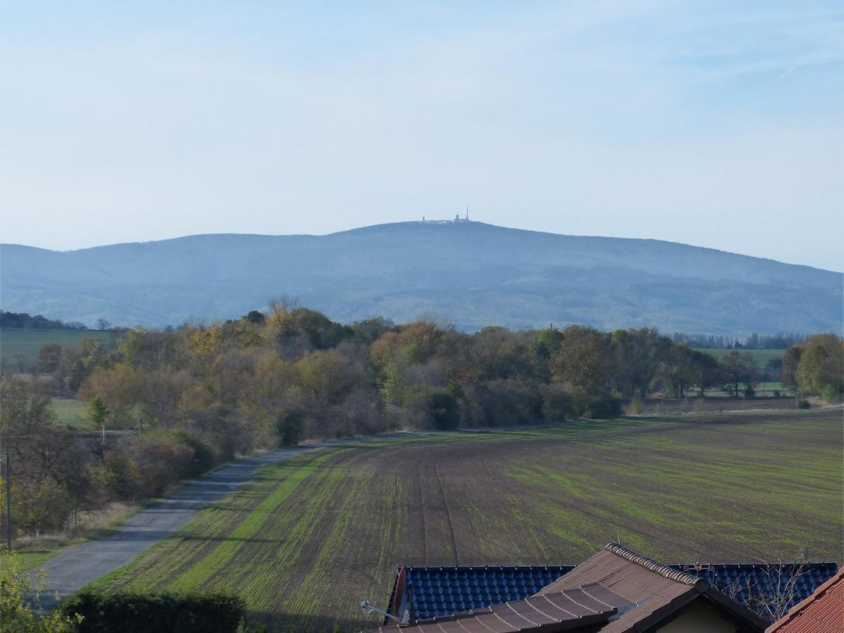 Mit Brockenblick *